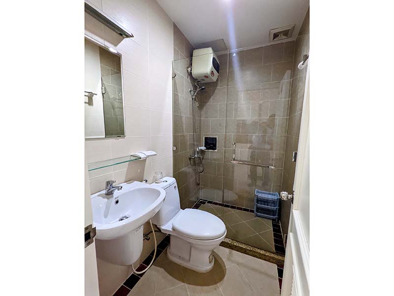 Spacious and windy serviced apartment renting in Binh Thanh District next to the Zoo