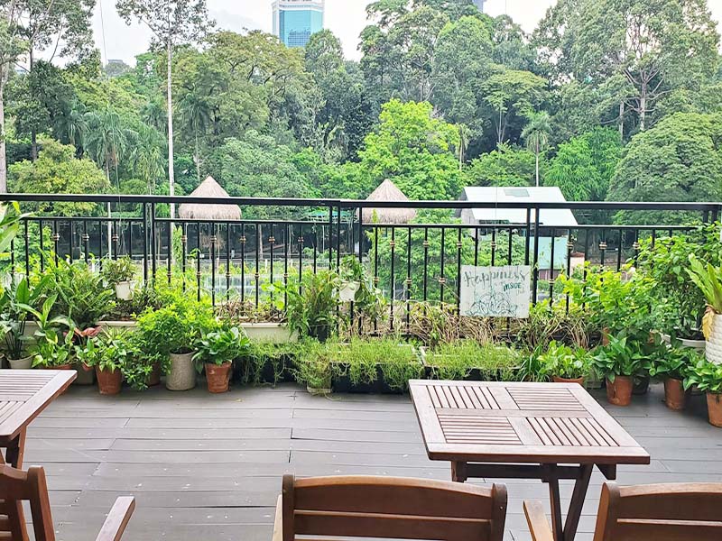 Cozy expat home renting in Binh Thanh District Truong Sa Street