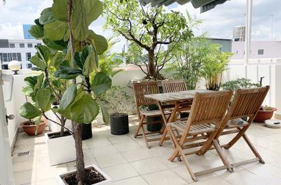 Penthouse serviced apartment leasing on Nguyen Dinh Chieu Street, Dakao Ward, District 1.