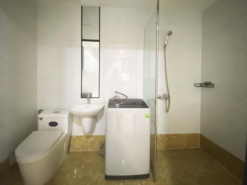 Bright studio serviced apartment for rent in Binh Thanh District, Huynh Man Dat Street