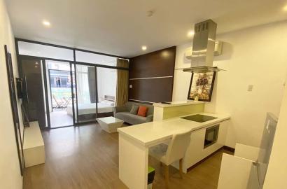 Pet frendly serviced apartment for rent in District 1 Ho Chi Minh City