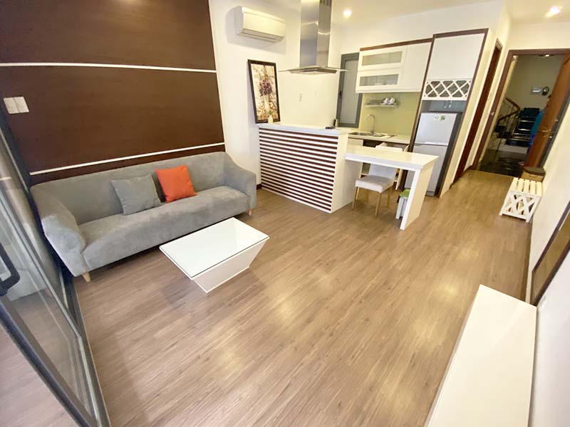 Pet frendly serviced apartment for rent in District 1 Ho Chi Minh City