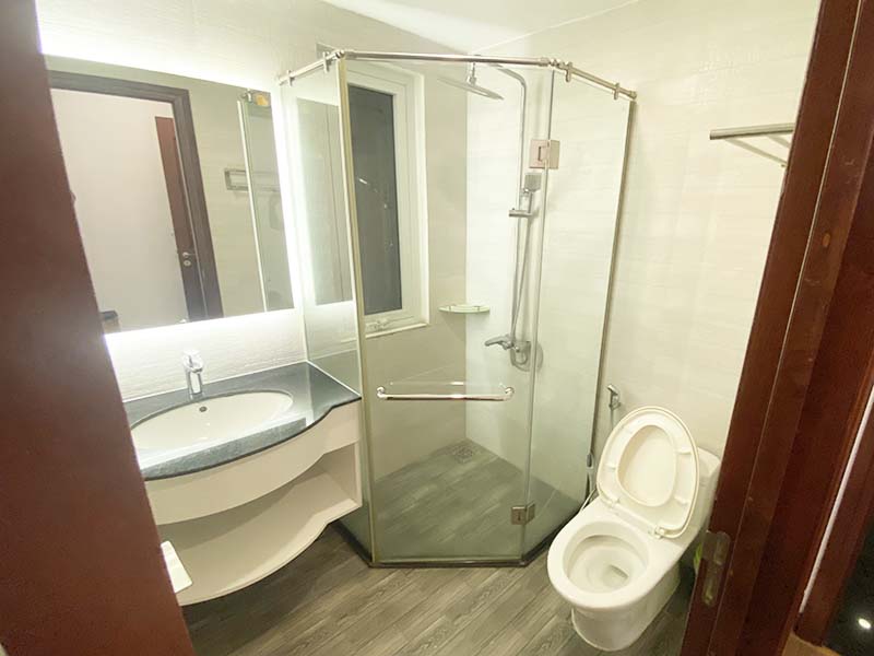 Pet frendly serviced apartment for rent in District 1 Ho Chi Minh City