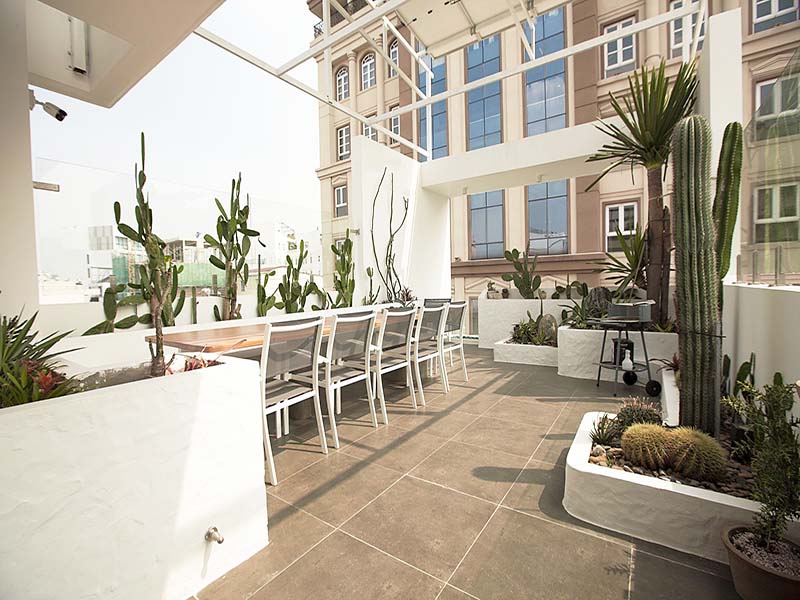 Cozy studio serviced apartment renting in Tan Binh District Tan Vien Street