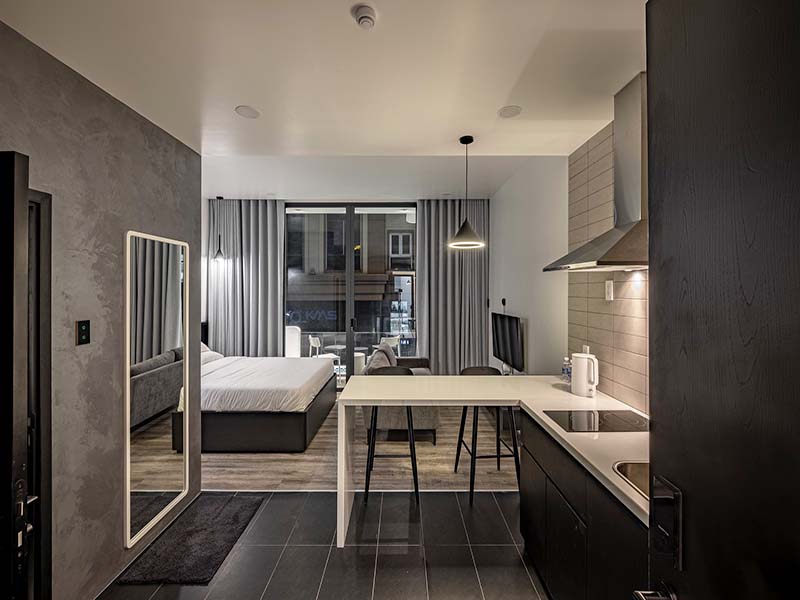 Cozy studio serviced apartment renting in Tan Binh District Tan Vien Street