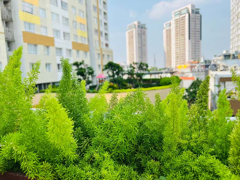 Spacious 2 bedrooms serviced apartment for rent on Thao Dien Ward, District 2, Thu Duc City