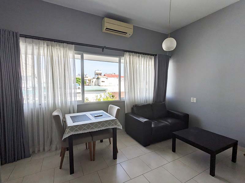 Spacious serviced concept apartment leasing in District 3 Vo Thi Sau Street