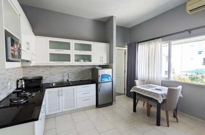 Spacious serviced concept apartment leasing in District 3 Vo Thi Sau Street