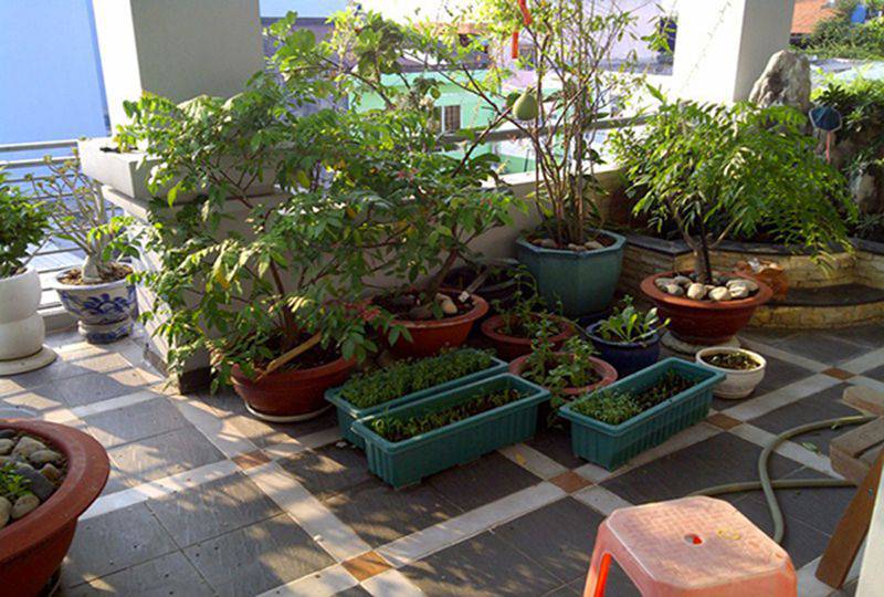 House for rent on Nguyen Hong Dao street Tan Binh District