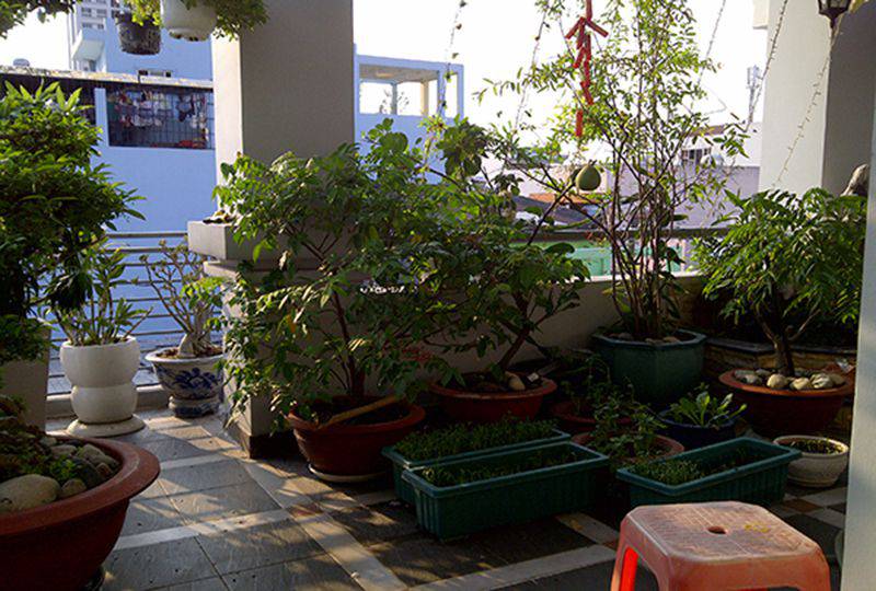 House for rent on Nguyen Hong Dao street Tan Binh District