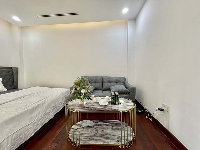 One bedroom serviced apartment leasing in District 1 Ben Nghe Ward