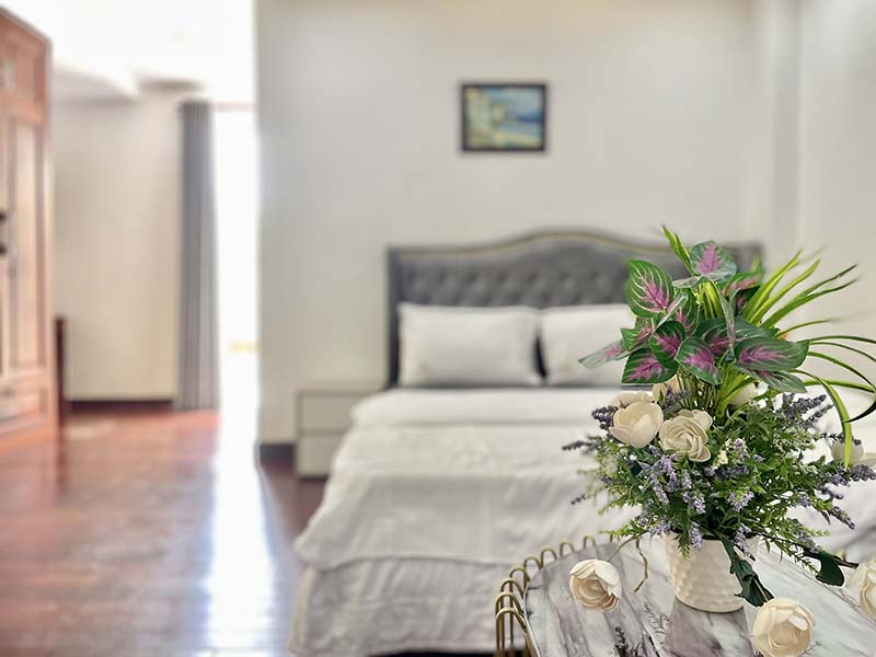 One bedroom serviced apartment leasing in District 1 Ben Nghe Ward