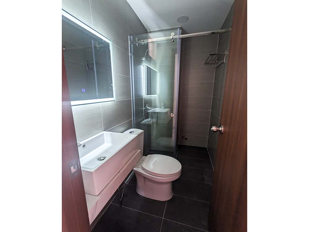 Brandnew serviced apartment renting in District 1 Dakao Ward
