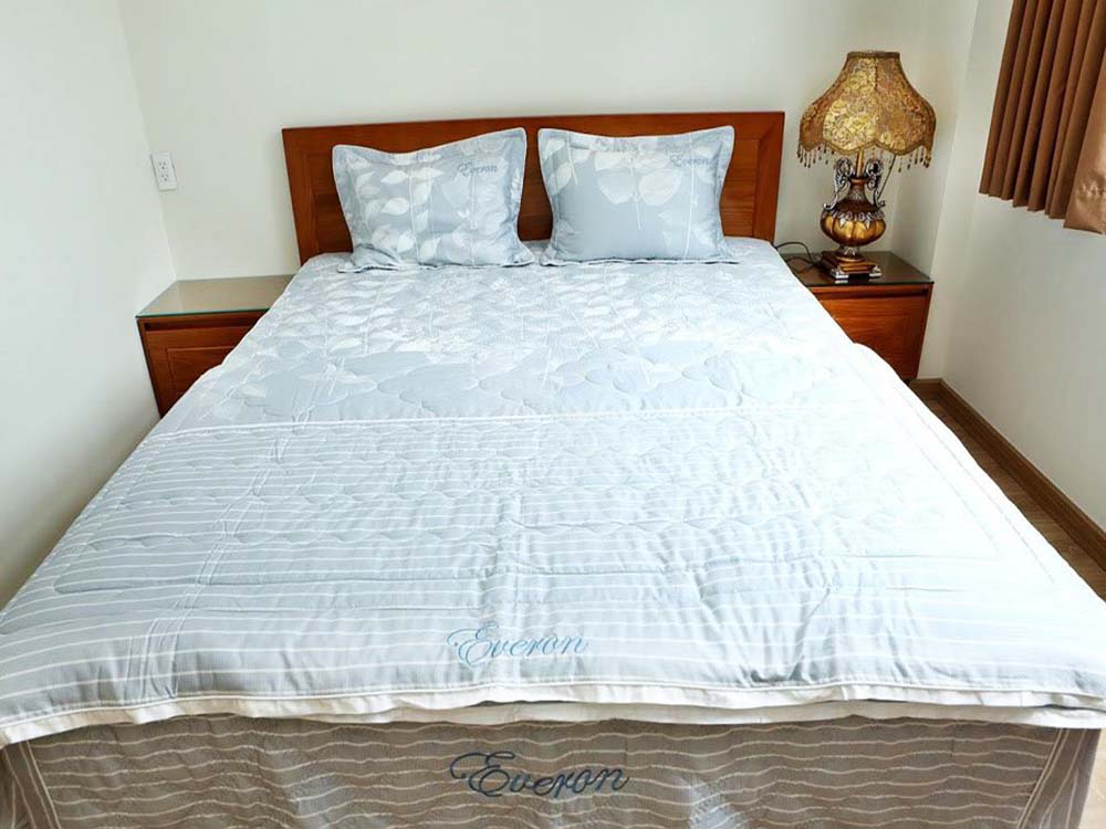 One bedroom serviced apartment for lease on Ly Chinh Thang St District 3