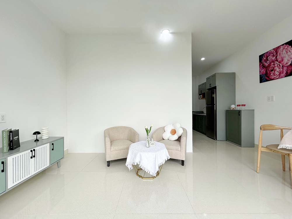 Bright-light serviced apartment for lease in Binh Thanh District Tran Binh Trong St