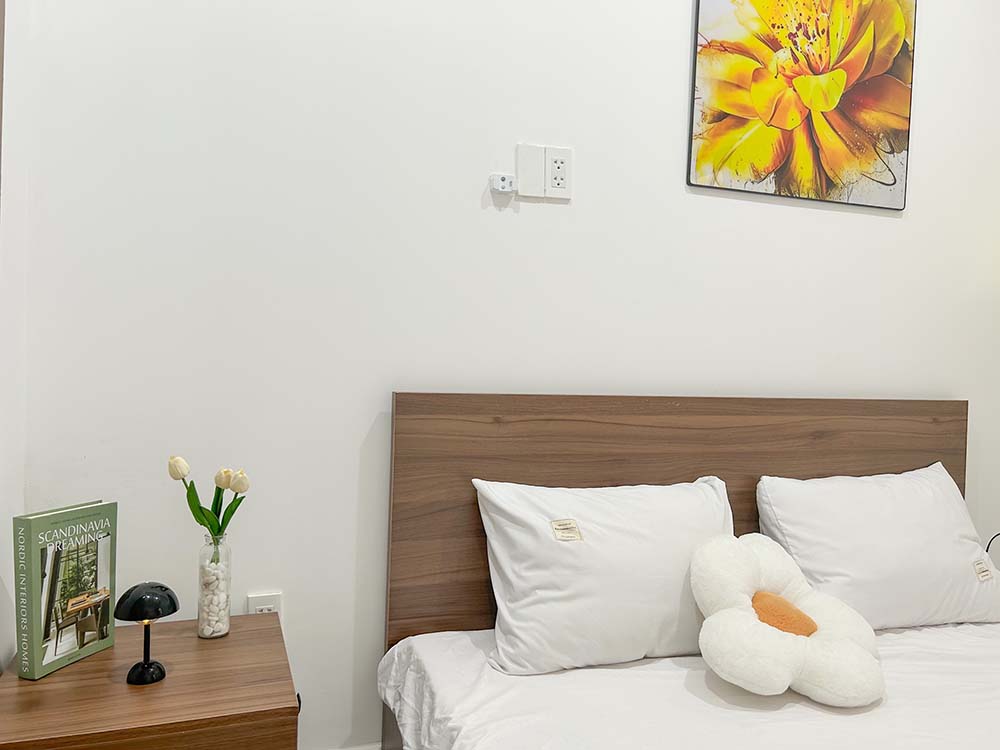 Nice serviced apartment for rent on Tran Binh Trong Street, Binh Thanh District