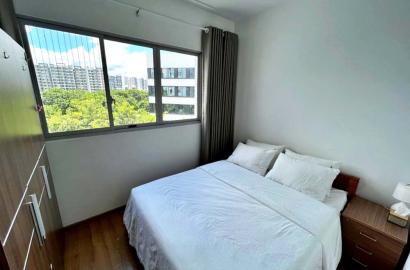 Windy apartment for rent on Celadon City on Tan Phu District, Ho Chi Minh City