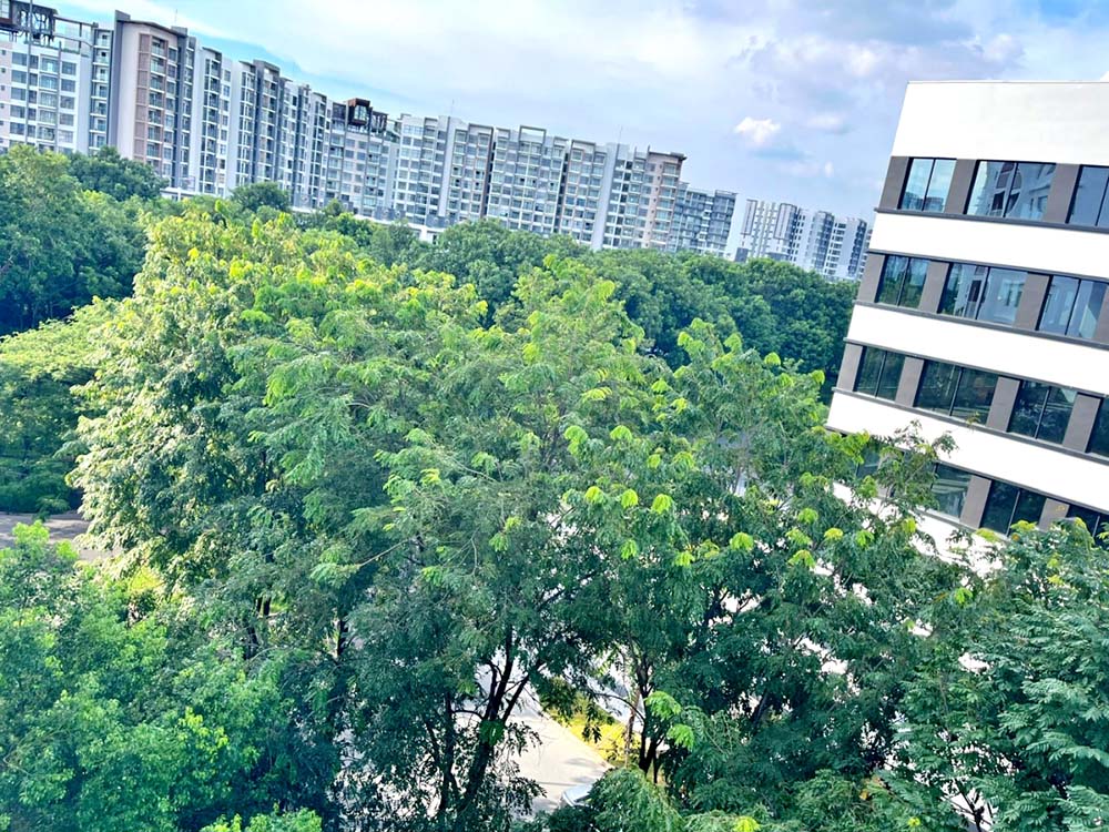 Windy apartment for rent on Celadon City on Tan Phu District, Ho Chi Minh City