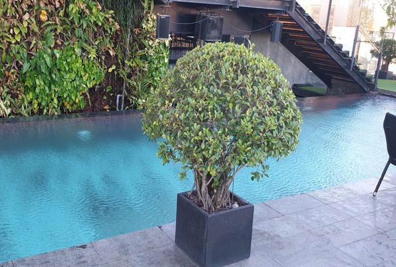 Nice apartment for lease on Ben Thanh Tower District 1 Ho Chi Minh city