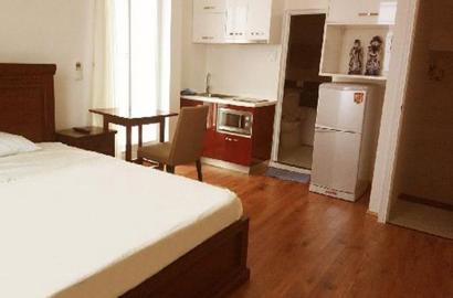 Serviced apartment for rent on Le Thanh Ton street District 1