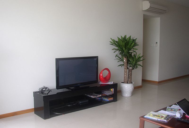 Nice apartment for rent in Saigon Pearl Binh Thanh District