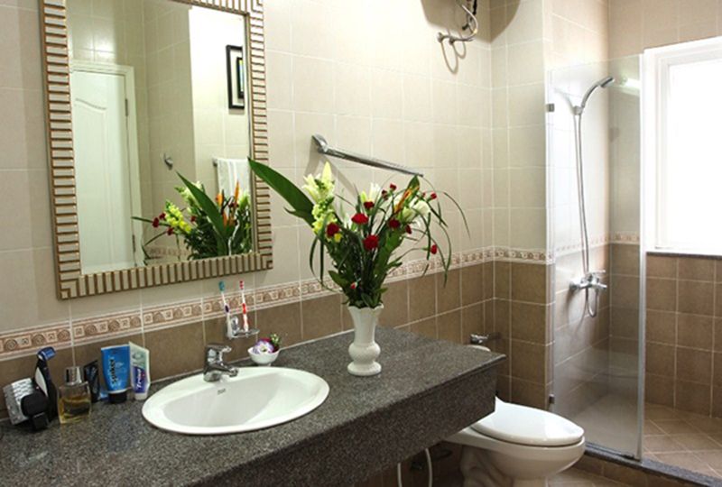 Serviced apartment for rent on Truong Dinh street Ward 6 District 3 - Rental : 700-1100$
