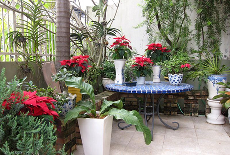 House for rent on 9th street , Binh An Ward, district 2  - Rental : 1800USD