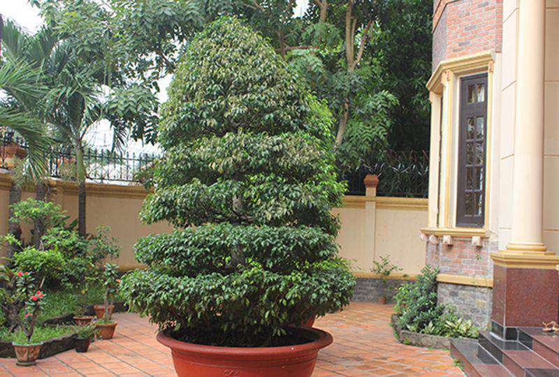 Nice Villa for rent on Tran Ngoc Dien street Thao Dien ward District 2 - Rental: 4000USD