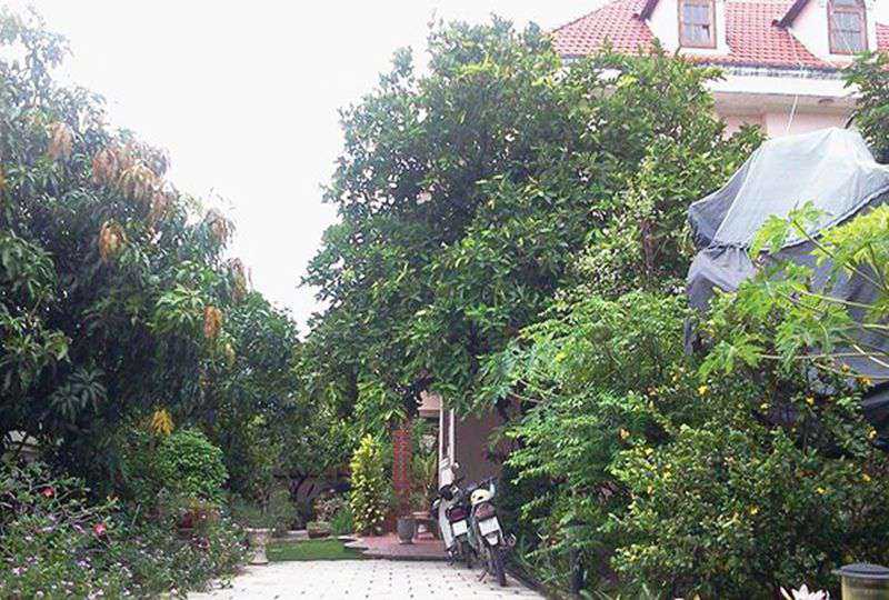 Villa for rent on Street 20 Ward 6 Go Vap District - Rental : 1500USD