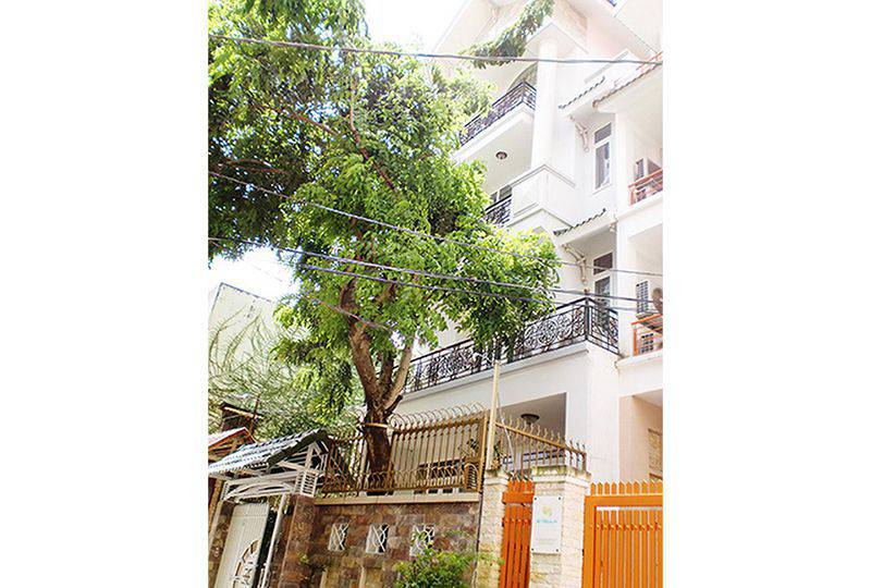 New Villa for rent on Tran Quoc Toan street Ward 7 District 3 - Rental : 4000USD