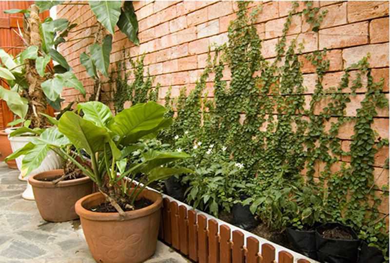 Nice serviced apartment for rent on Huynh Tinh Cua street District 3 - Saigon