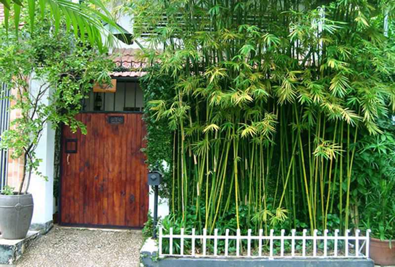 Nice house for rent on Truc Duong street Thao Dien District 2