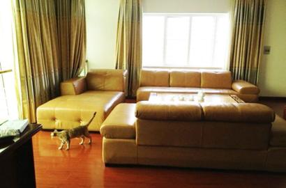 Nice serviced apartment for rent on Phan Thuc Duyen street Tan Binh District