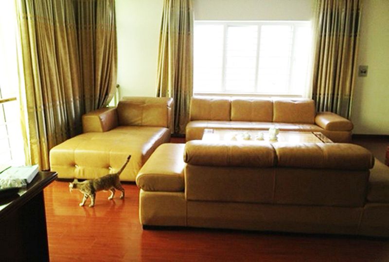 Nice serviced apartment for rent on Phan Thuc Duyen street Tan Binh District