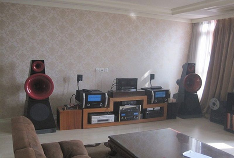 Luxurious penthouse for rent on Cantavil Hoan Cau Binh Thanh District