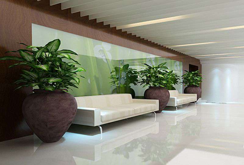 Luxury office for rent on Truong Son street Tan Binh District