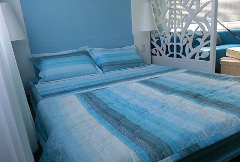 Serviced studio apartment for rent on Rach Bung Binh street District 3