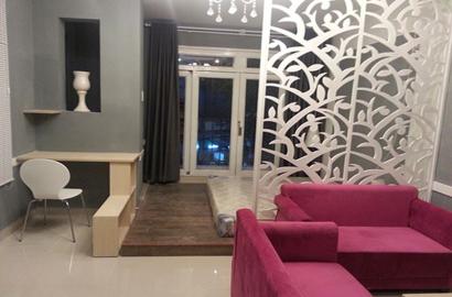 Brand new serviced studio apartment for rent in District 3 - Rental : 450USD
