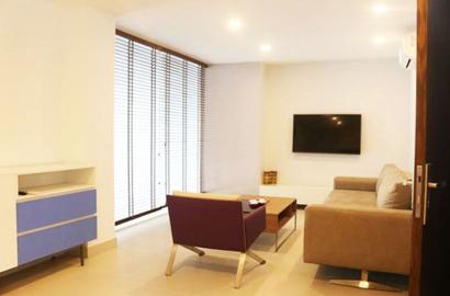 Cozy serviced apartment near BIS Thao Dien district 2 Ho Chi Minh city for rent 