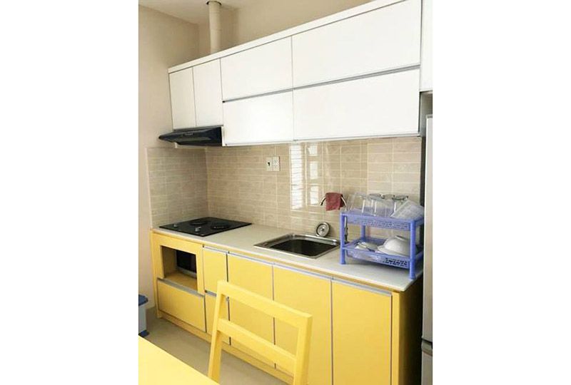 Serviced apartment on Cuu Long street Tan Binh district now renting