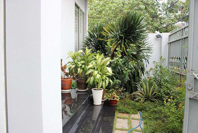 Cheap house in Thao Dien area District 2 for rent