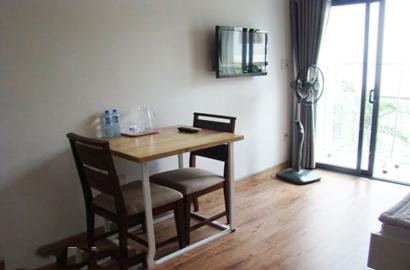 Nice Studio near Etown on Le Van Huan street Tan Binh district for rent