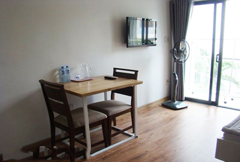 Nice Studio near Etown on Le Van Huan street Tan Binh district for rent