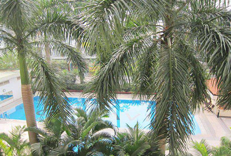 Nice apartment for lease in Cantavil An Phu An Phu district 2 Ho Chi Minh