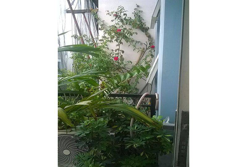 House in Binh Loi residence  Binh Thanh district for rent - Rental 700USD