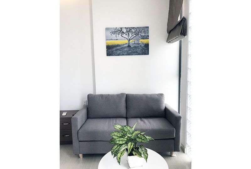Nice serviced apartment on CMT8 street district 3 for rent