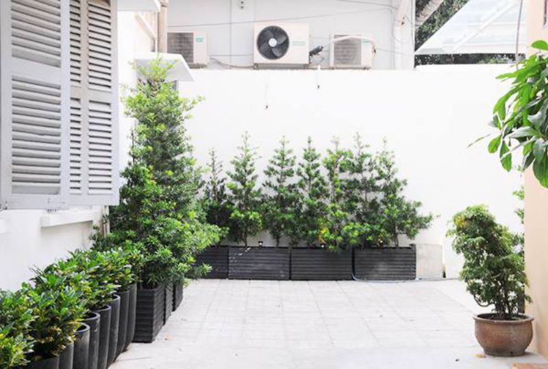 Cozy Serviced apartment on Phan Ke Binh Street district 1 for rent