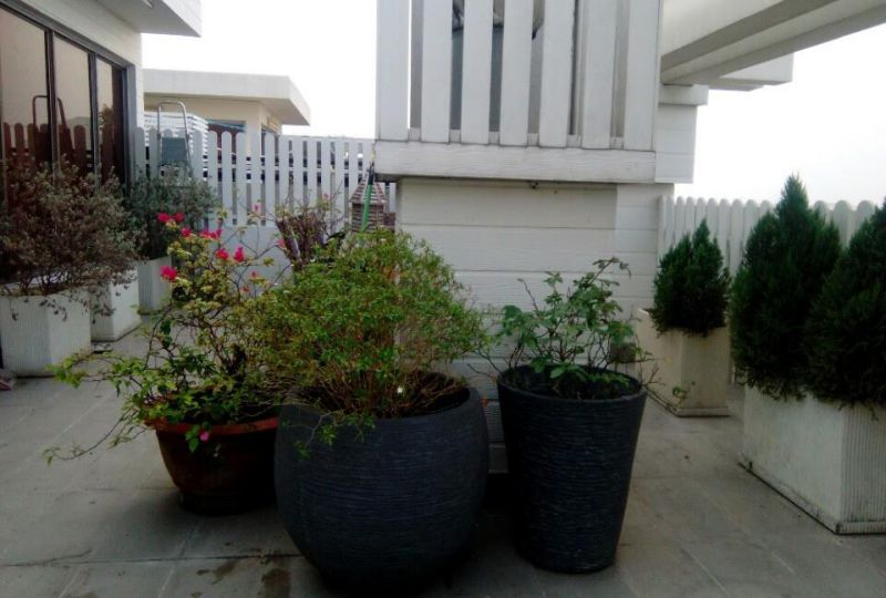 Penthouse apartment on Cantavil Hoan Cau in Binh Thanh District for rent