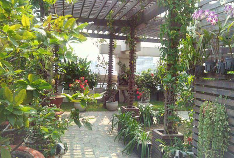 Penthouse apartment on Cantavil Hoan Cau in Binh Thanh District for rent