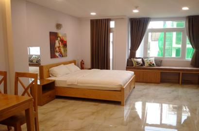 New Studio on Nguyen Huu Canh street Binh Thanh district for rent